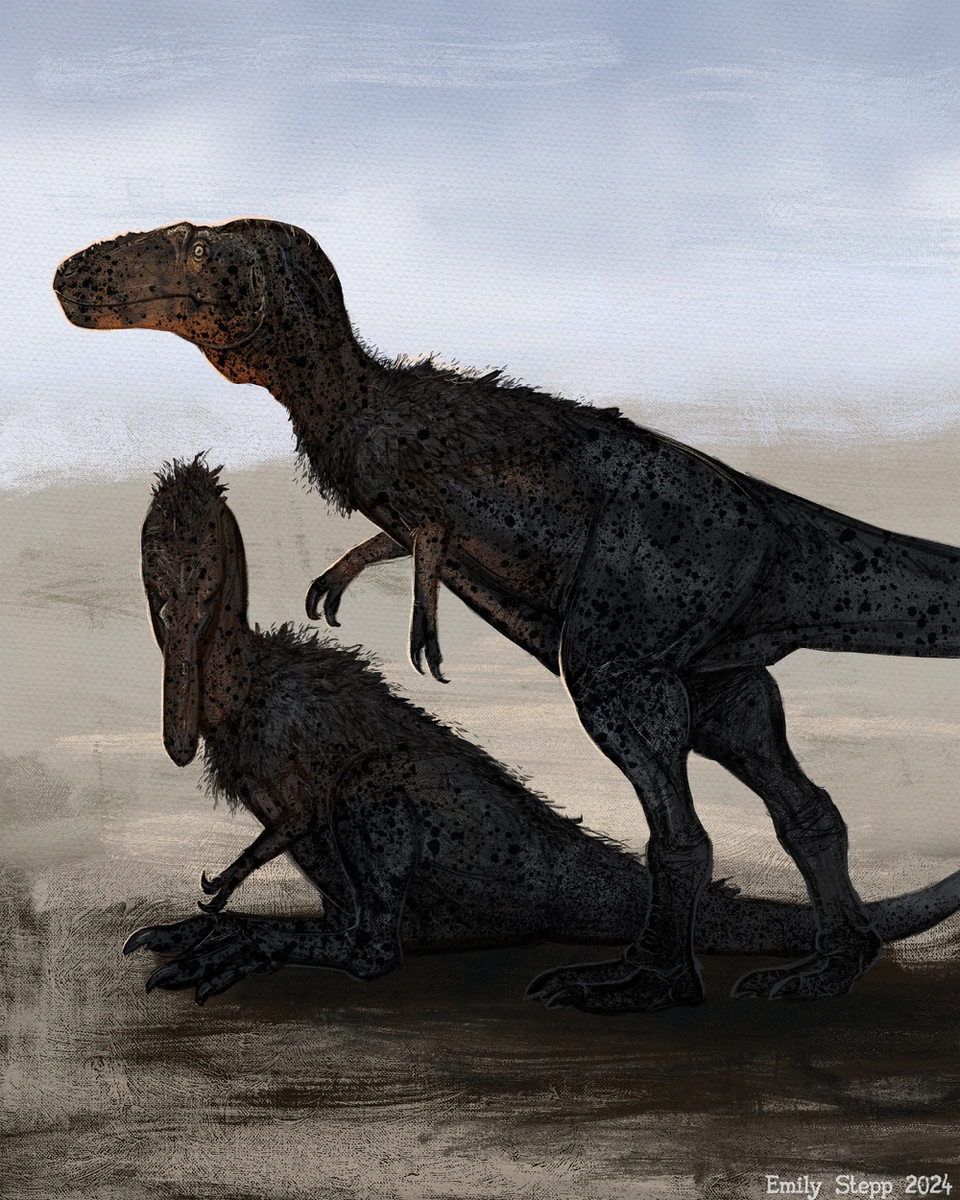 Работа Эмили Степп