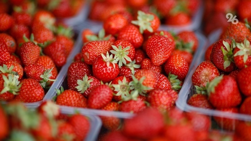      Фото: ИА «Победа26»