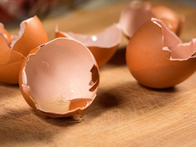 чем полезно удобрение из яичной скорлупы