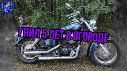 Honda Shadow из огорода с любовью.Воскрешение мертвеца