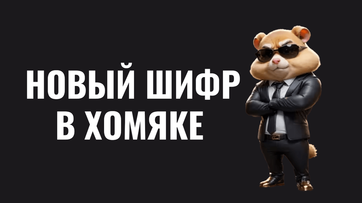 Ежедневный шифр хамстер сегодня
