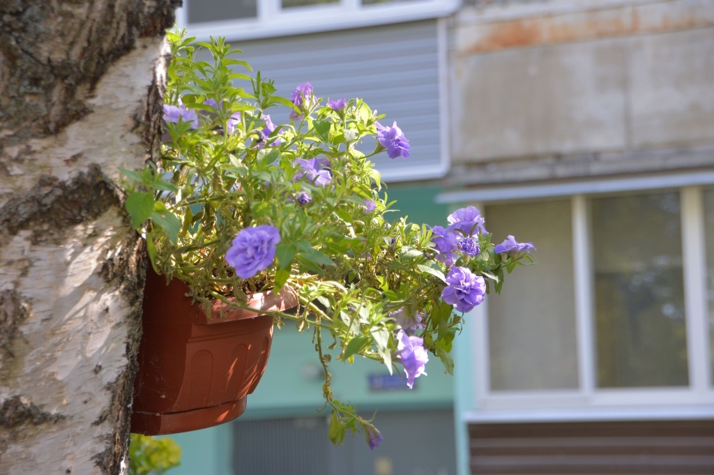 Дом, в котором мы живем: в Твери наградили заволжских победителей конкурса