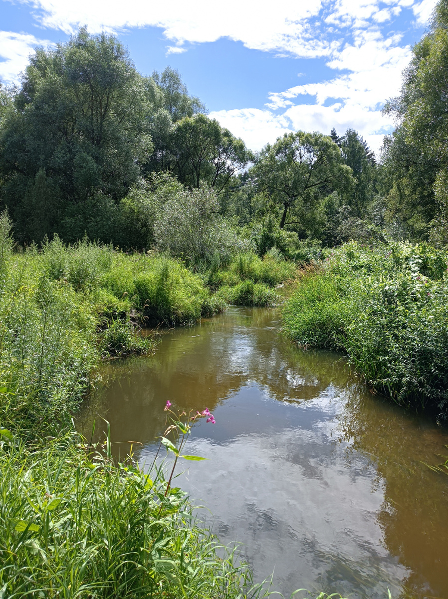 Грязева. Вода в ней, кстати, чистая из-за множества родников.
