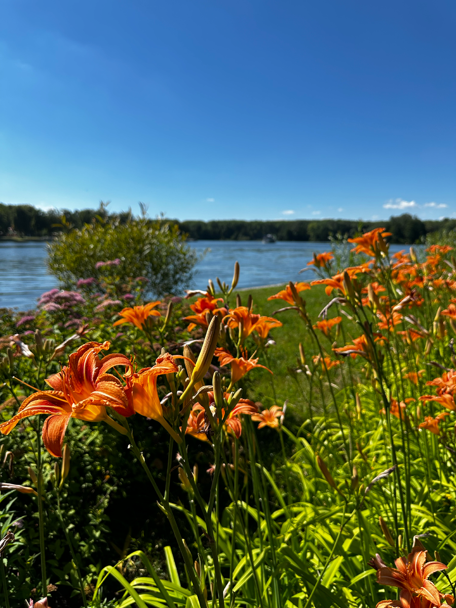 Благоустроенный Минск