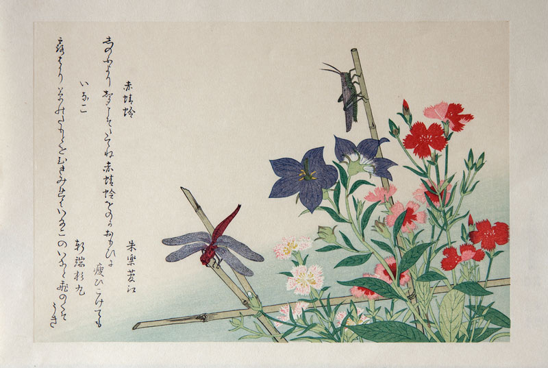 Гравюра японского графика Китагаро Утамаро "Насекомые"