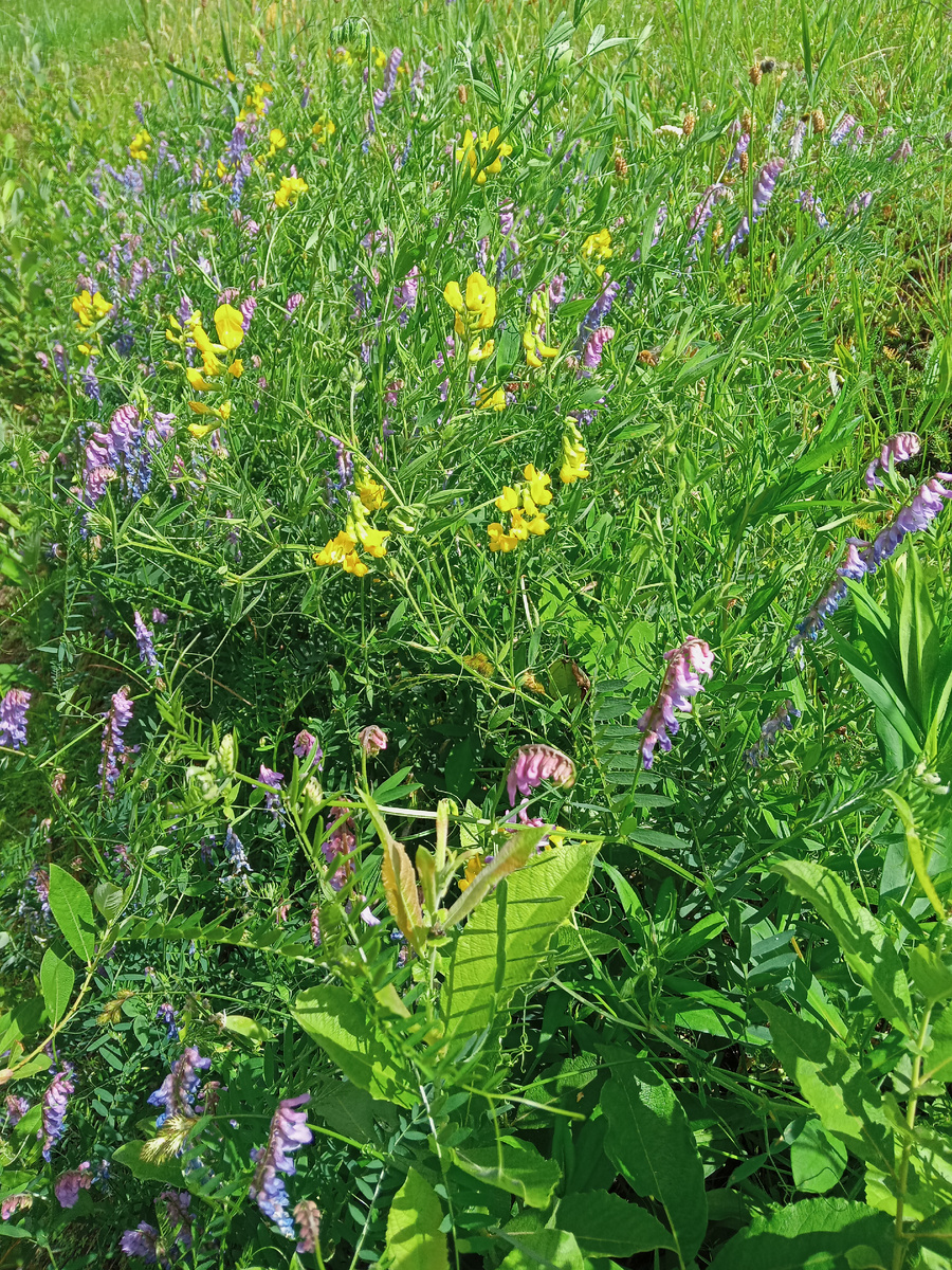 Фото автора.