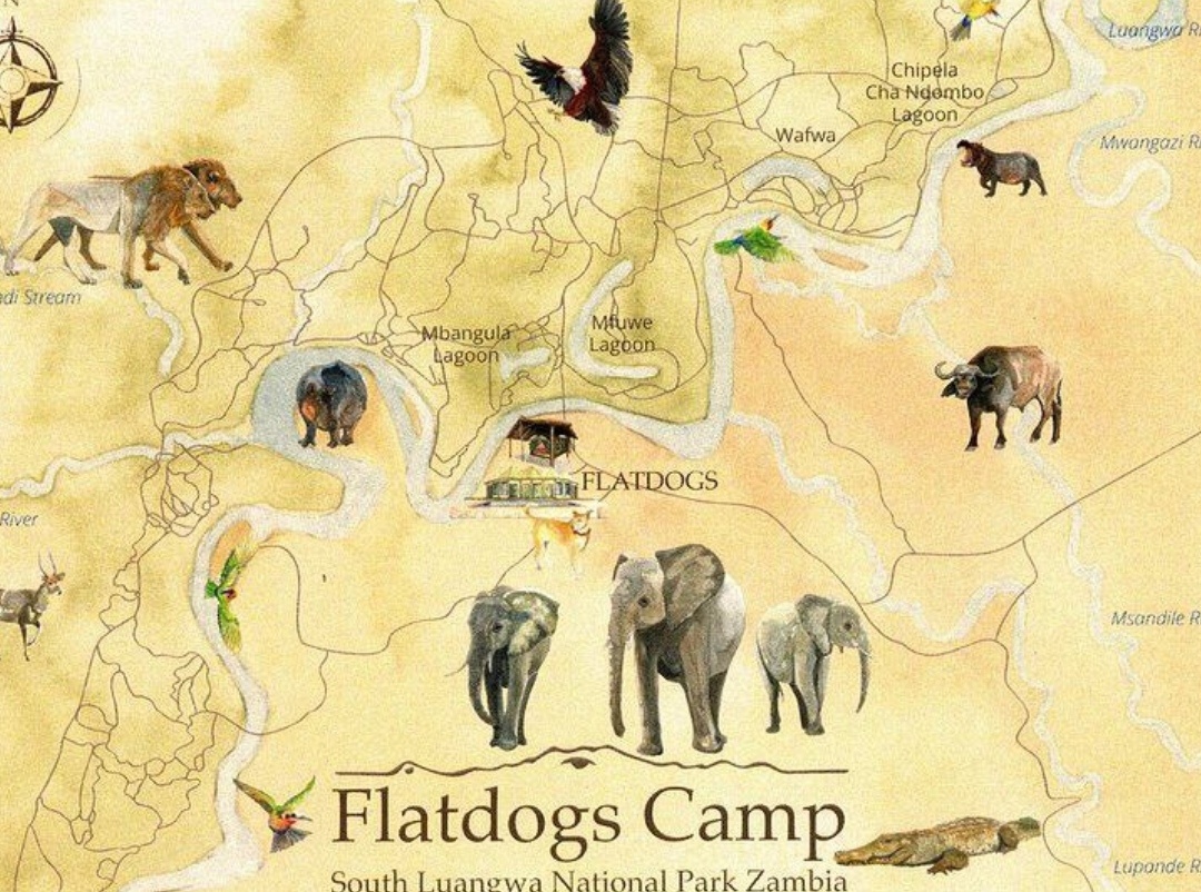 Flatdogs Camp на карте парка Южная Луангва 
