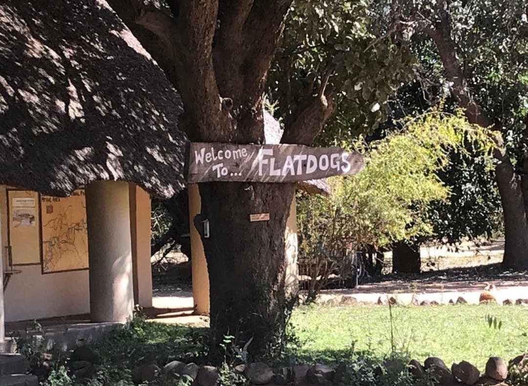 Flatdogs Camp. Южная Луангва 