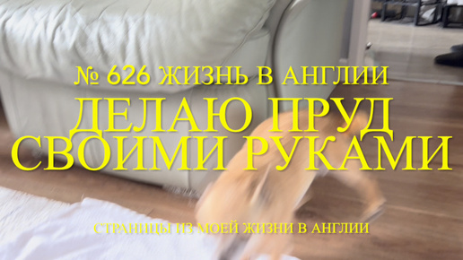 Переезд. Делаю пруд своими руками. Лилли после купания. № 626 Жизнь в Англии