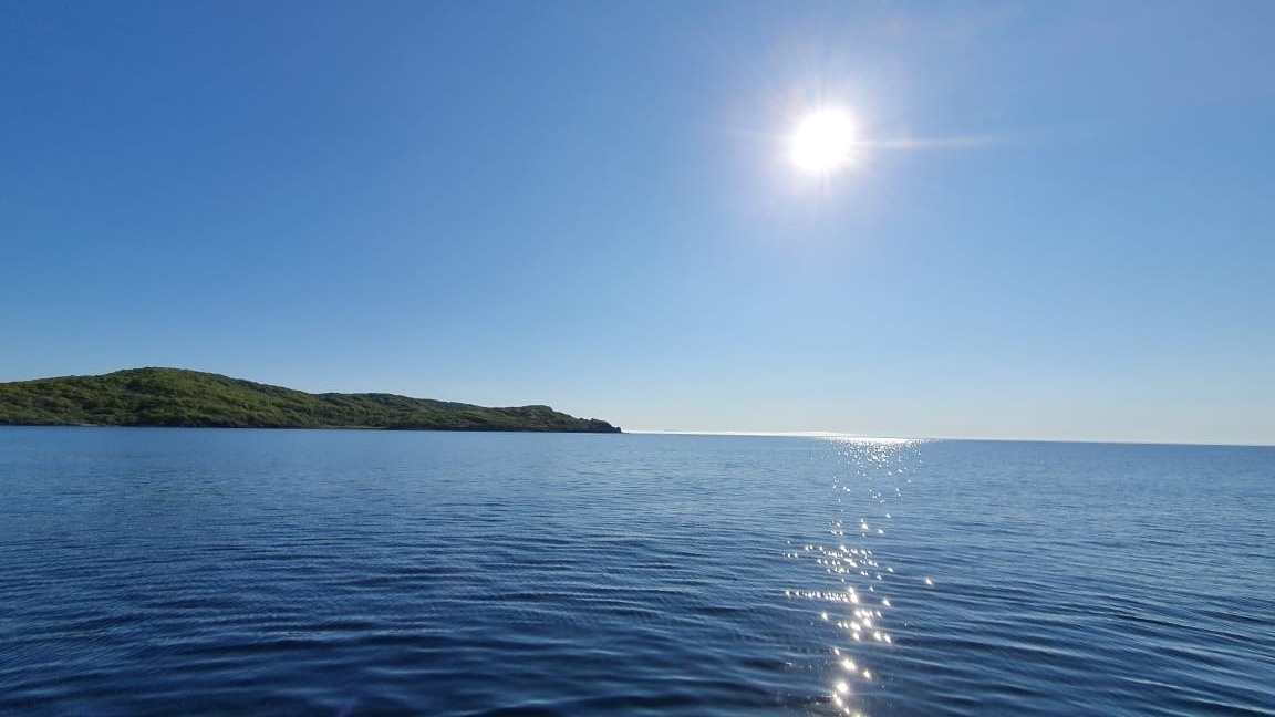     Источник: vostokmedia.com