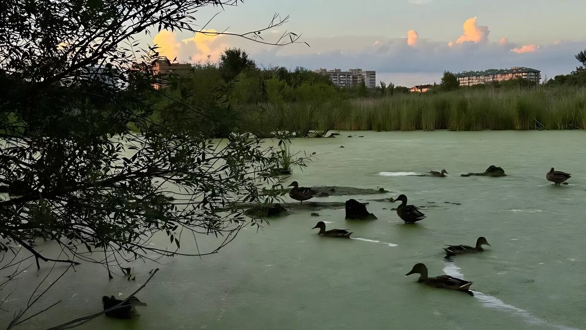     Источник: mark2_che