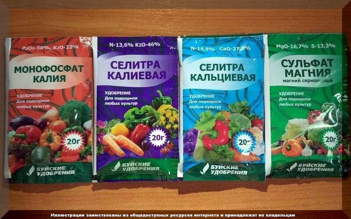Что такое селитра и для чего. Калий селитра удобрение. Удобрение с высоким содержанием калия. Удобрения с кальцием для томатов. Калий и кальций удобрение.