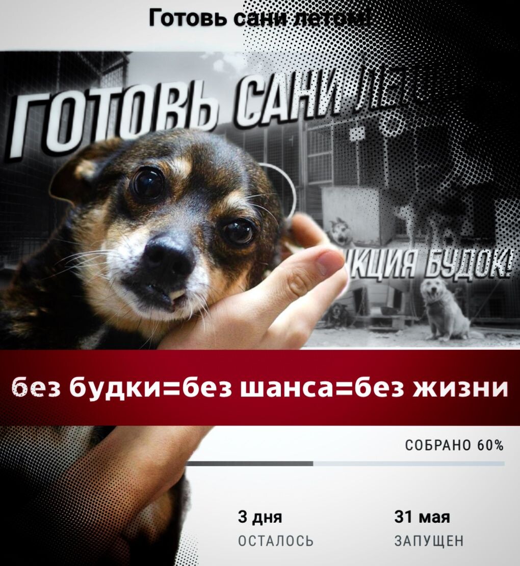 Не хватает 176 500 рублей, чтобы проект стал успешным и не пришлось выпускать инvалидов на улицу...