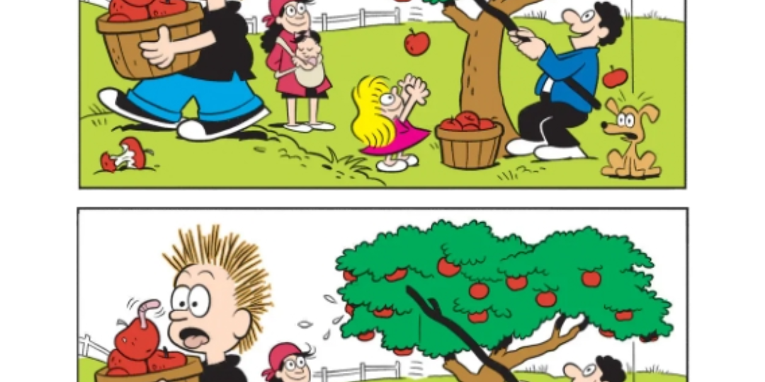 6 отличий на картинках. Сможете найти все?