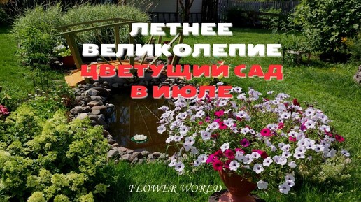 Летнее великолепие - Цветущий сад в июле.💐