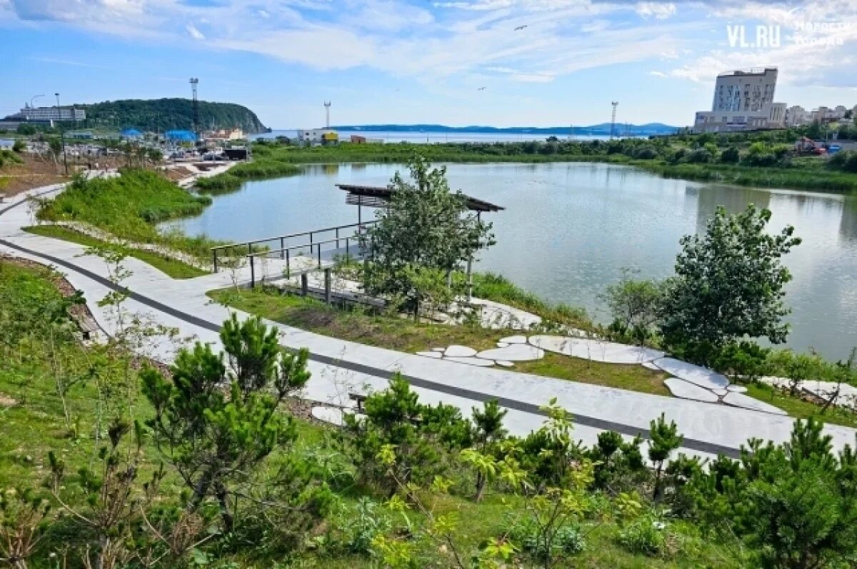    Во Владивостоке для людей открыли новую зону отдыха у озера Торфяное