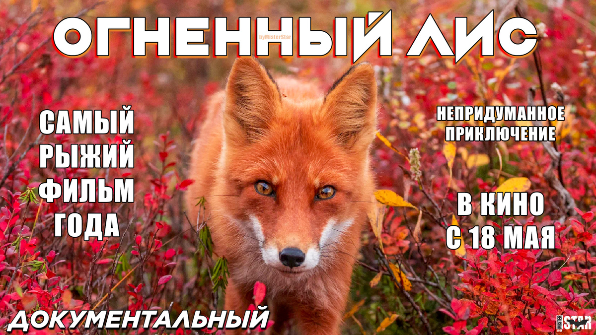 постер