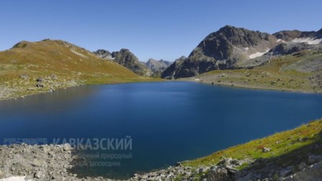    Фото: kavkazzapoved.ru