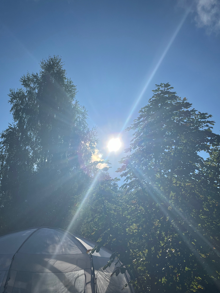 Фото автора. Утро