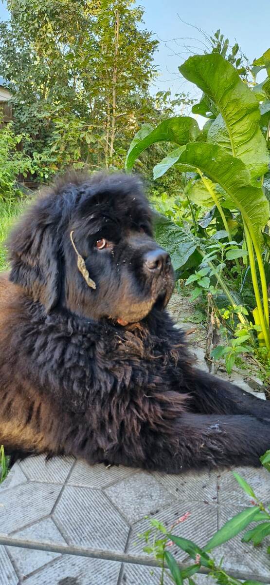 Фото автора.