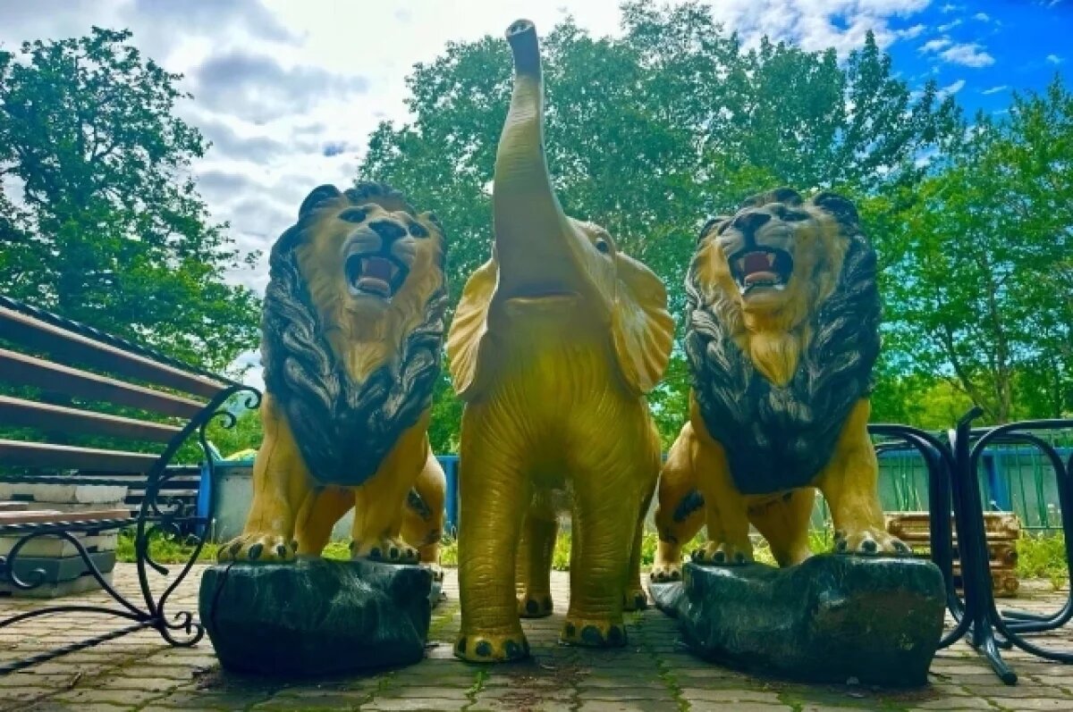    Парк «Электрон» на Пограничной станет новой точкой притяжения