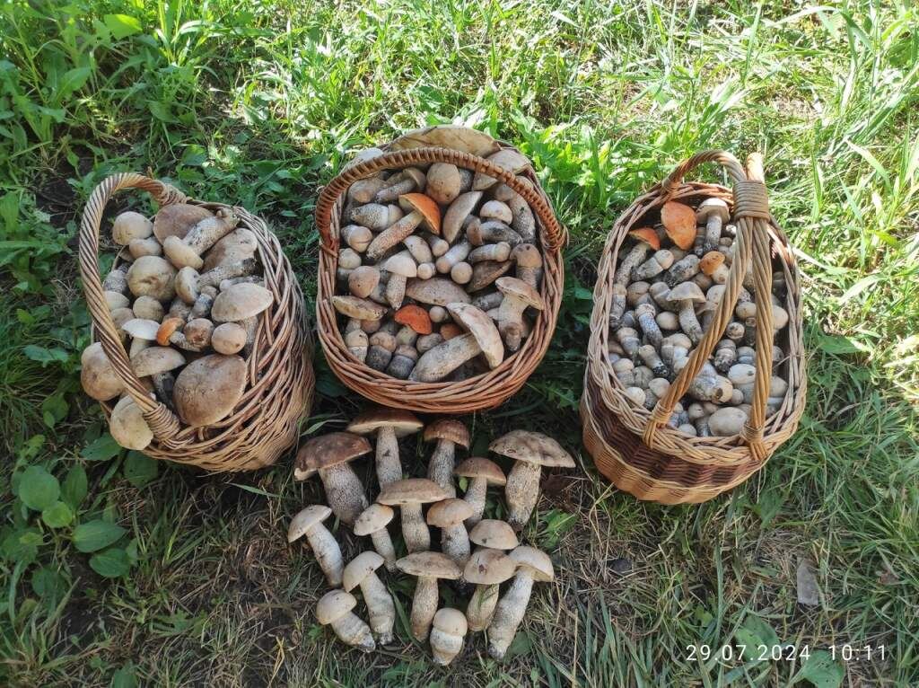    Фото: Галина Ковалева, Любовь Родивилова, Дмитрий Иванов