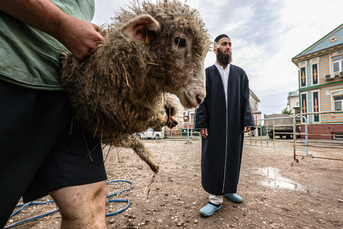 Andrey Titov/Business Online 