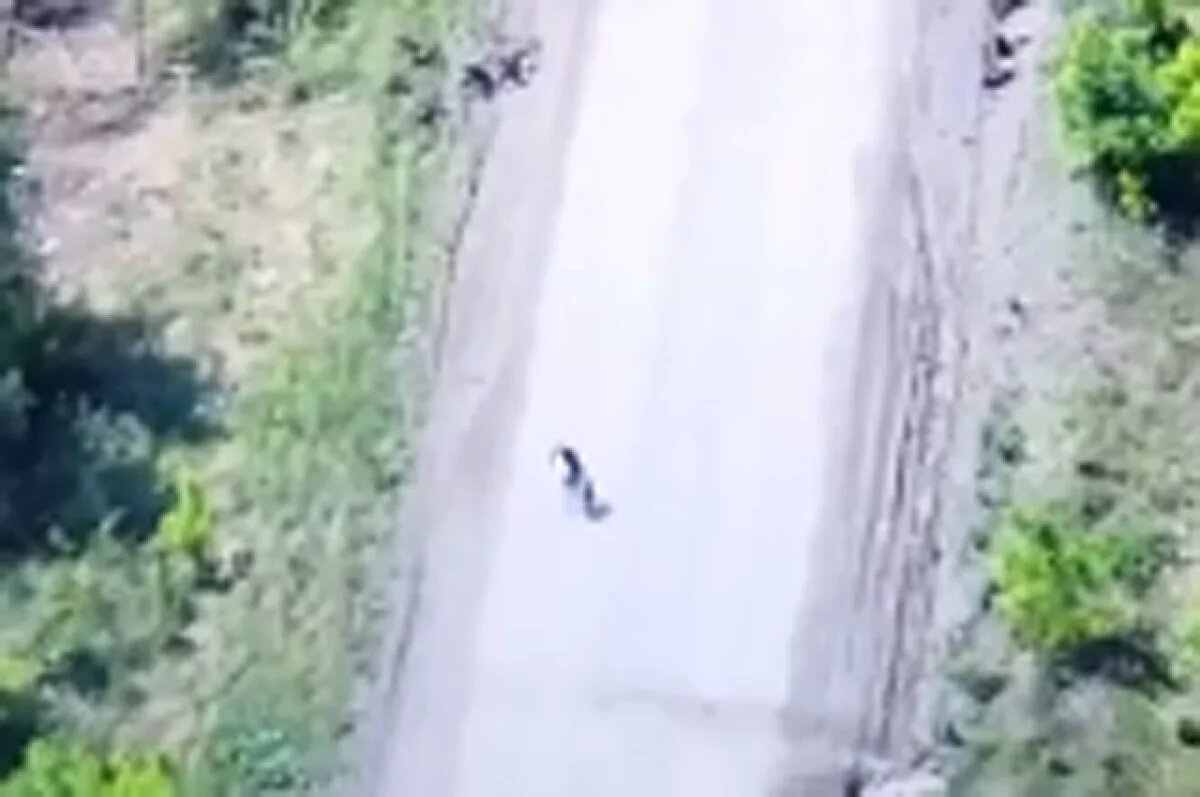    Кадр из видео WarGonzo — Telegram. Женщина с тележкой идёт, не обращая внимания на кинжальный огонь с обеих сторон, на восток, в сторону России.