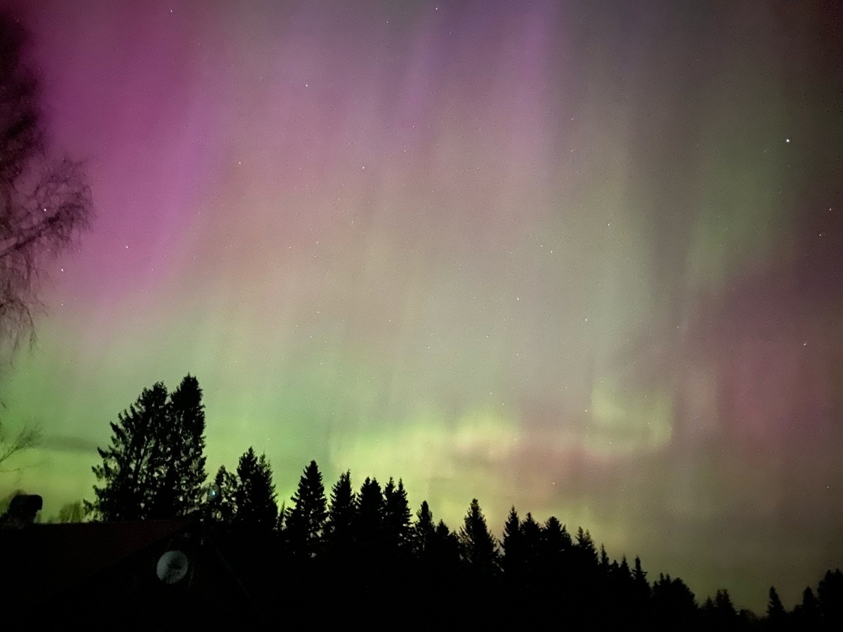    © Вконтакте / Александр Светлаков