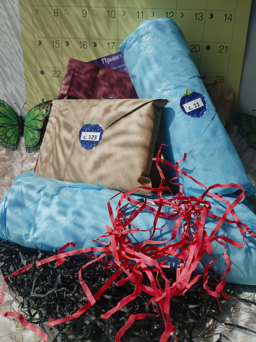 Фото из личного архива автора статьи