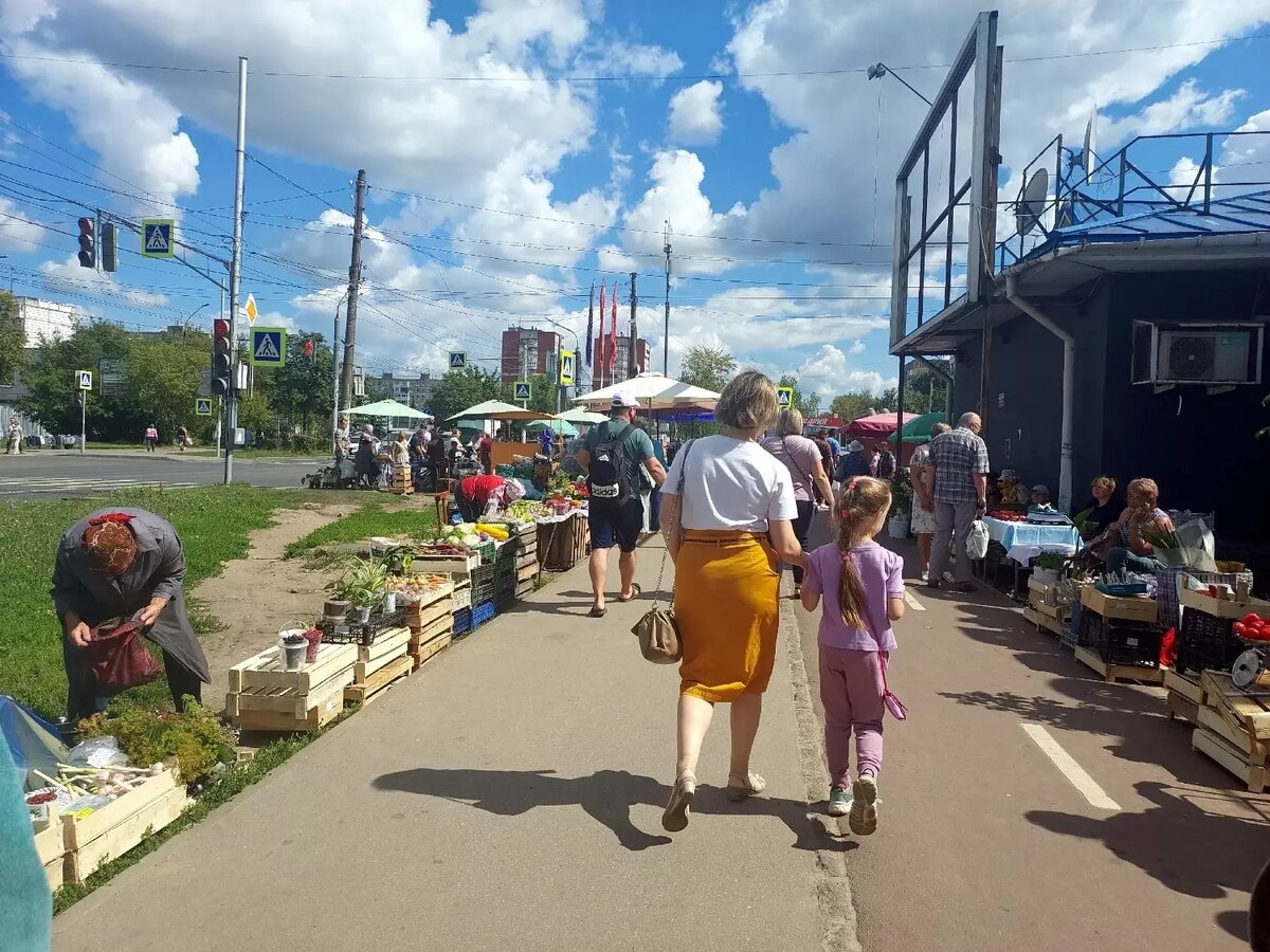     Источник: newsnn.ru