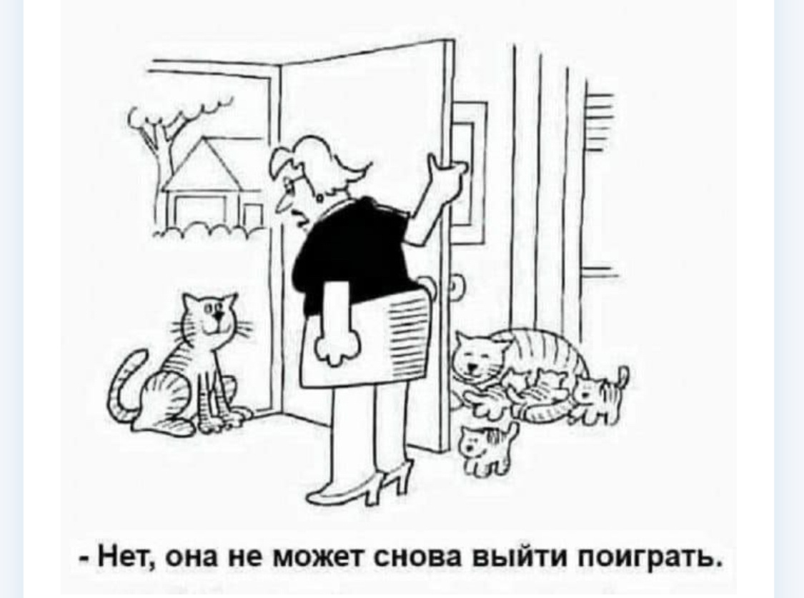Фото из интернета