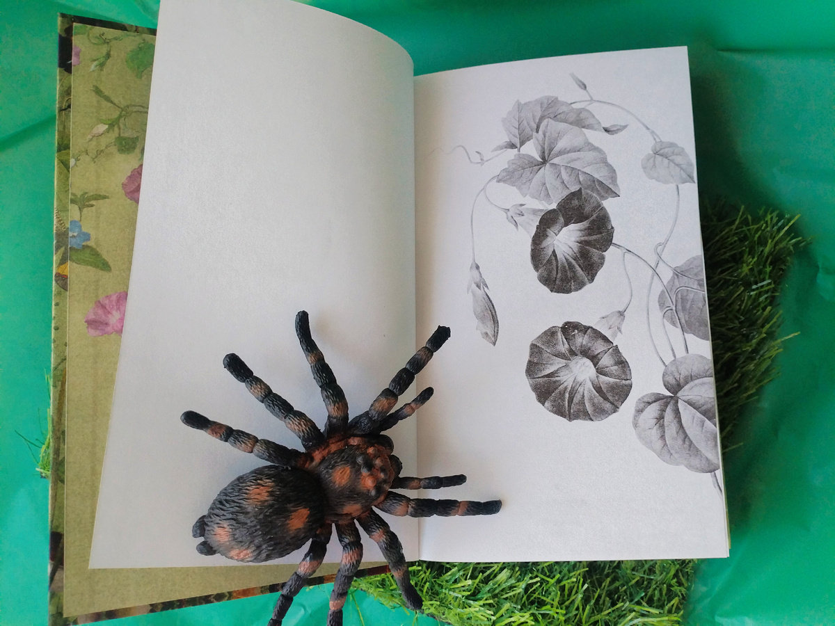 Фото из личного архива автора статьи