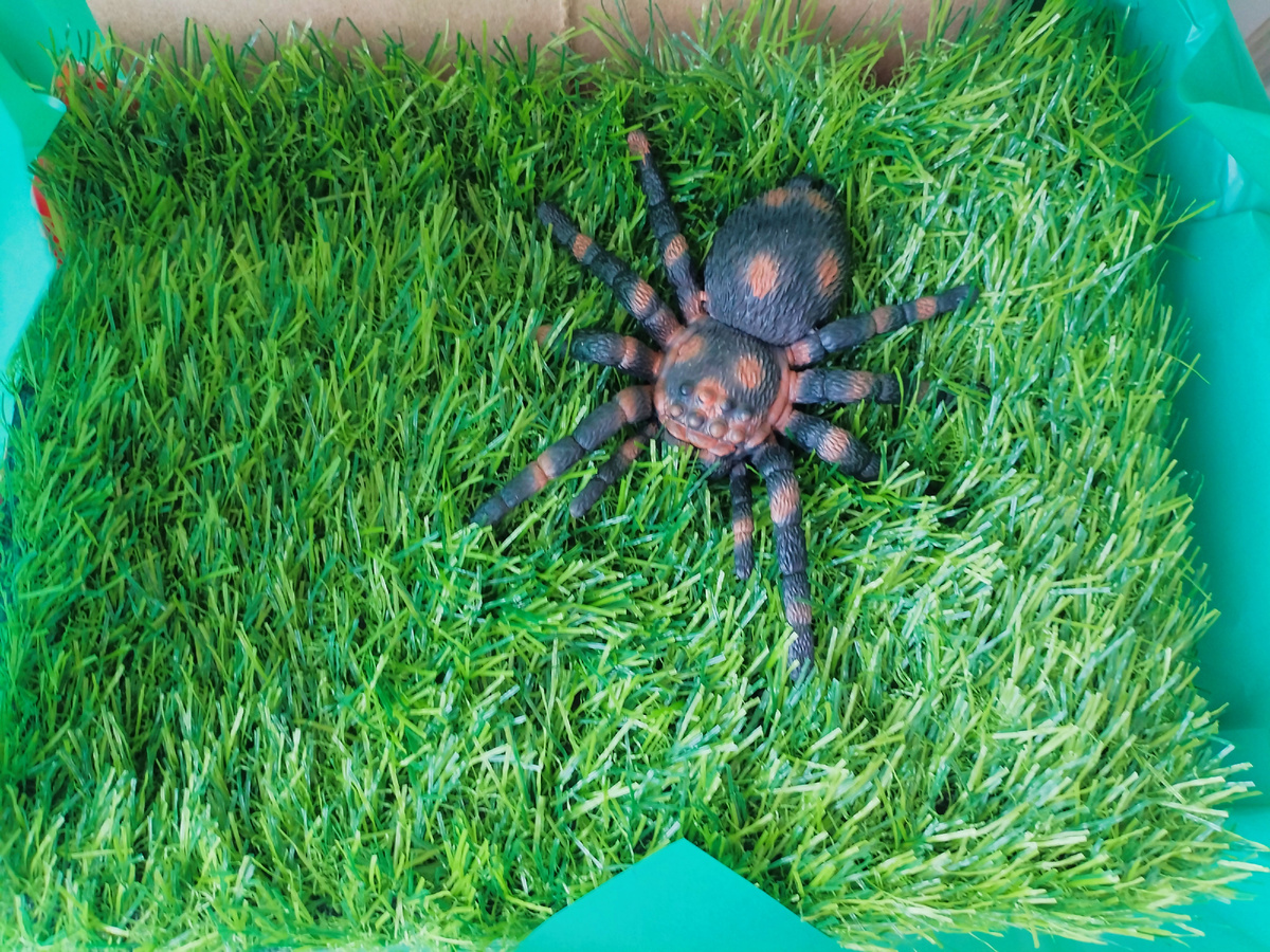 Фото из личного архива автора статьи