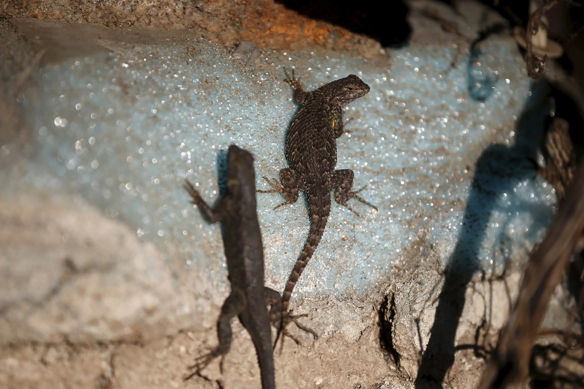 -А жить мы в моей комнате будем, твоя может не волноваться...