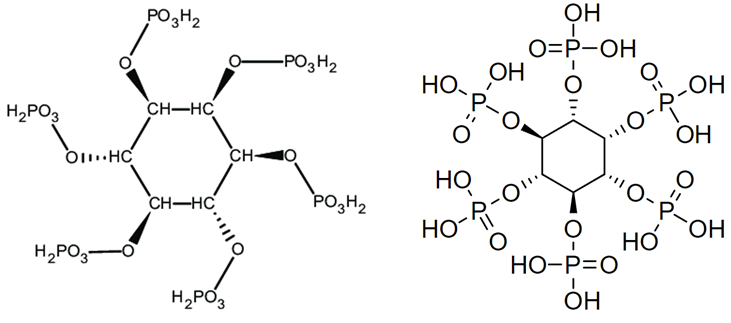 Различные варианты изображения структуры фитиновой кислоты. Изображение взято из интернета