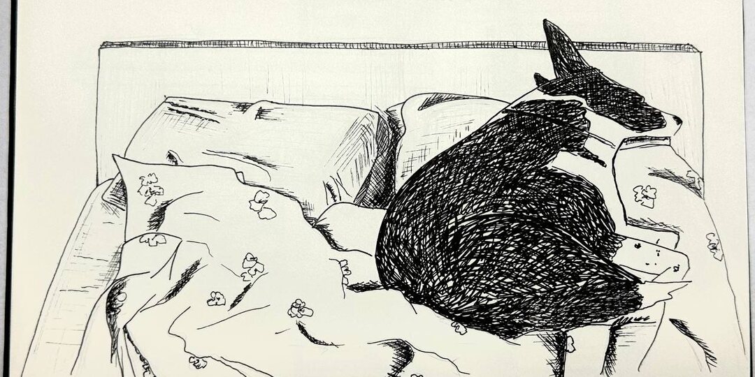 Быстрые рисунки. Скетч, набросок, зарисовка, эскиз. В чём отличие?