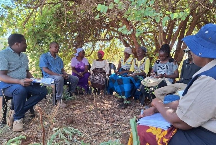   Ресурсосберегающее земледелие в Зимбабве повышает урожайность кукурузы и сои