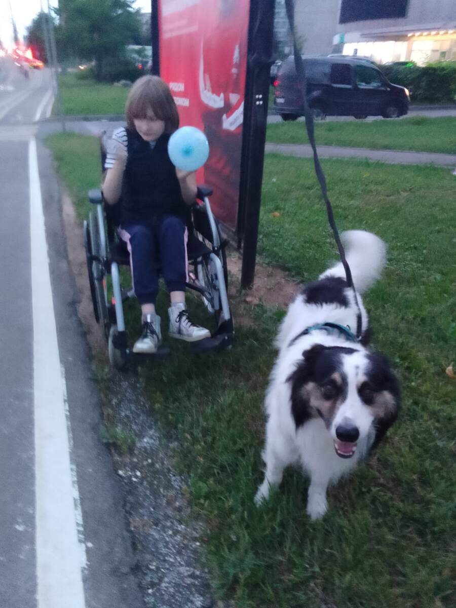 Света теперь гуляет в коляске. 