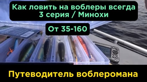 Все воблеоы от 35-160 размера. Лучшие минохи на все времена.