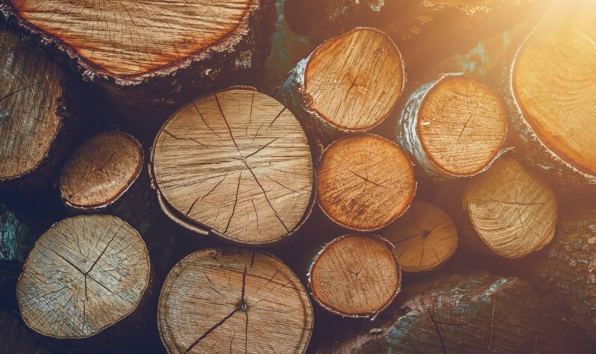    Источник фото: Прокуратура Приморского края