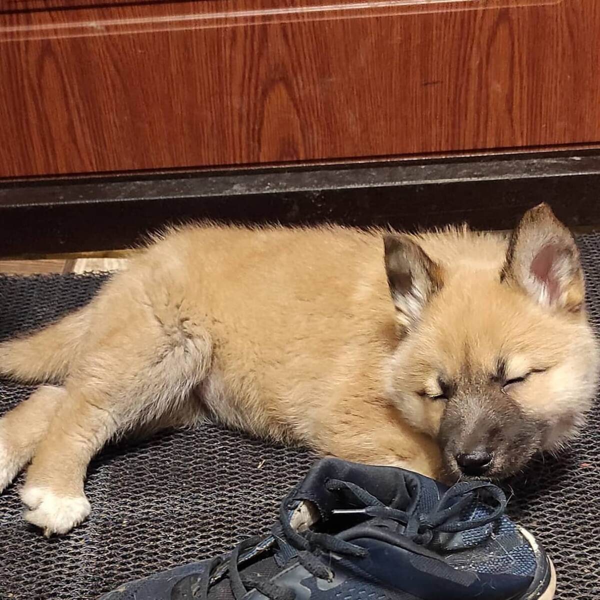 Маруся. Начало.