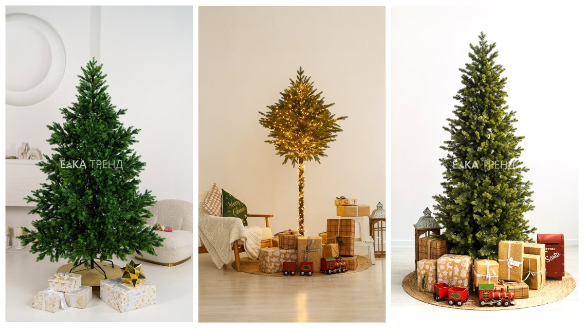 ель Бавария, ель-торшер и ель Монте