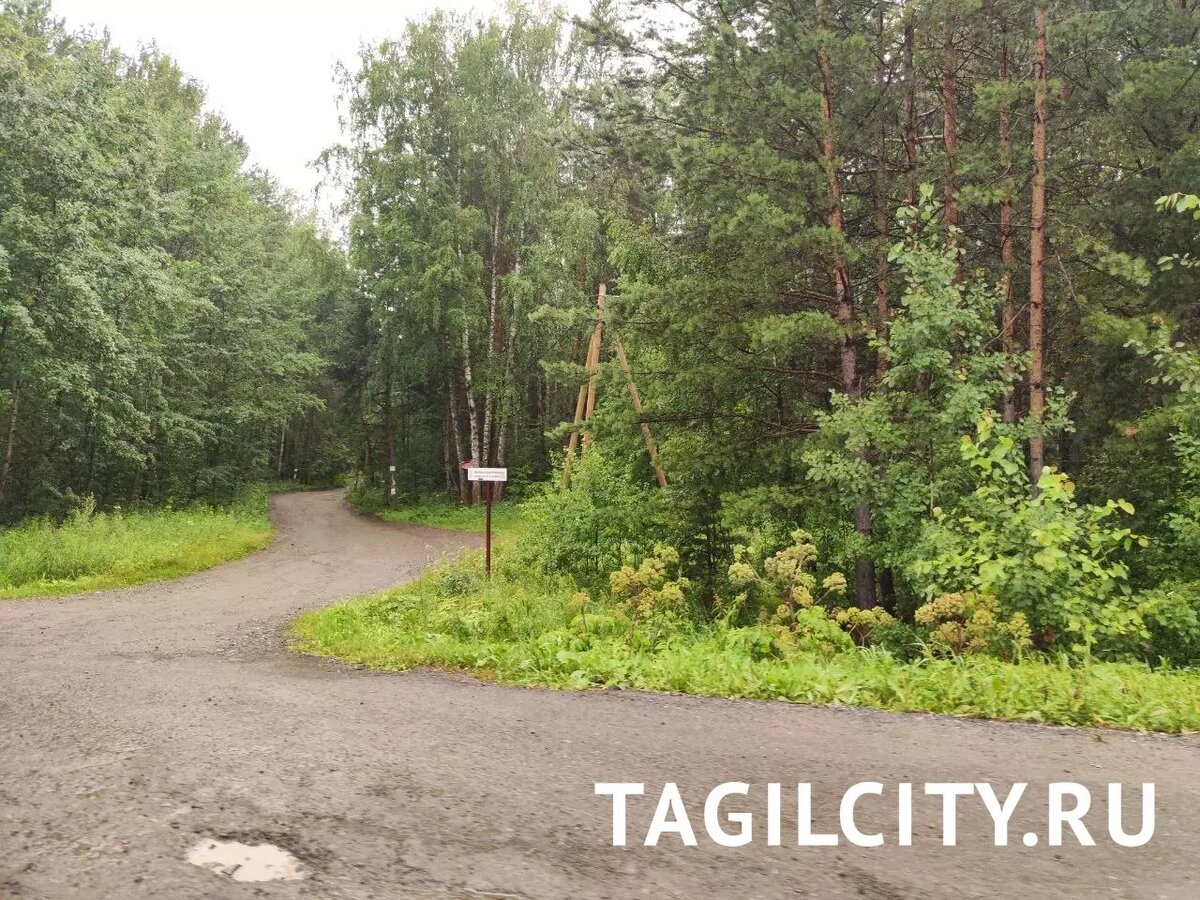     Источник: tagilcity.ru