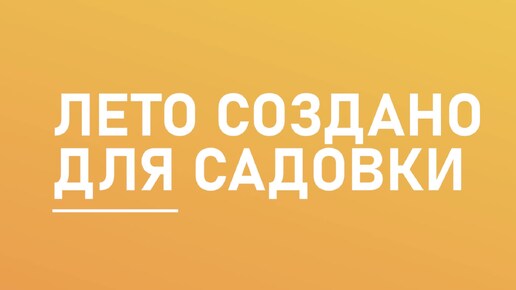 Летняя студенческая смена в «Садовке»