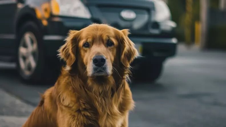     Источник: Изображение Midjourney