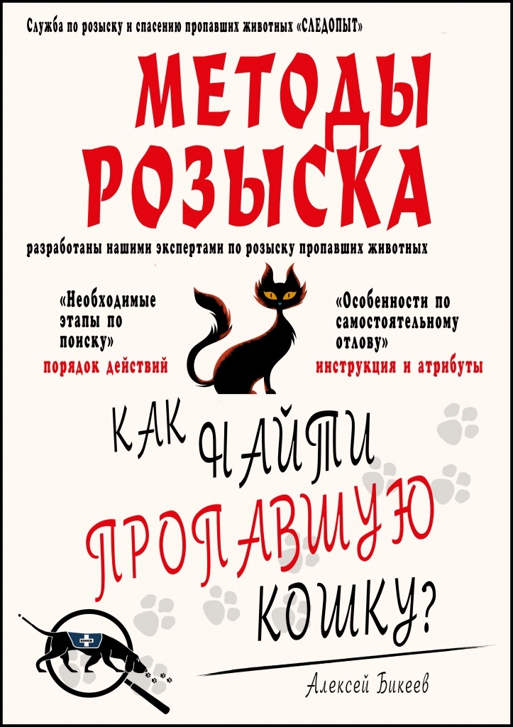 ПОДРОБНАЯ ИНСТРУКЦИЯ ПО ПОИСКУ КОШКИ