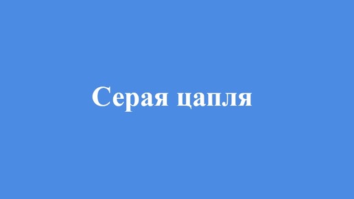 Как поёт серая цапля на пруду