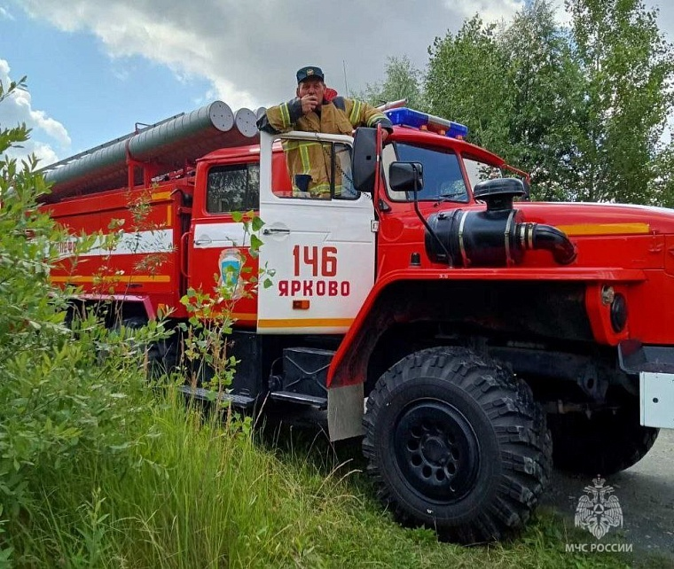 Дети украли в лесу у пожилой деревенской женщины ведро черники | скупкавладимир.рф