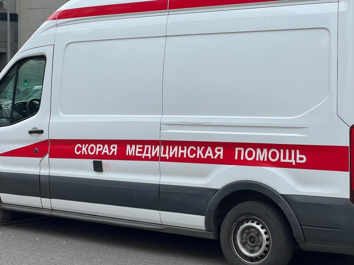    Врач Почтарев рассказал, как не заразиться лихорадкой Западного Нила